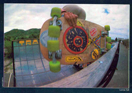 Click for Larger Image