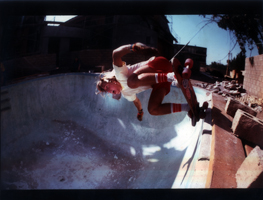 Click for Larger Image